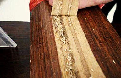 白蚁危害实木装饰物